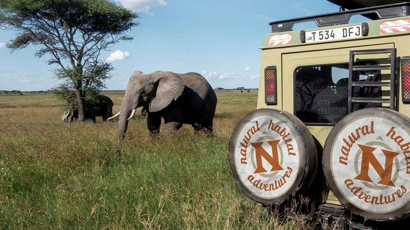 Natural Habitat Adventures (Colorado) — Wildlife and conservation-forward trips