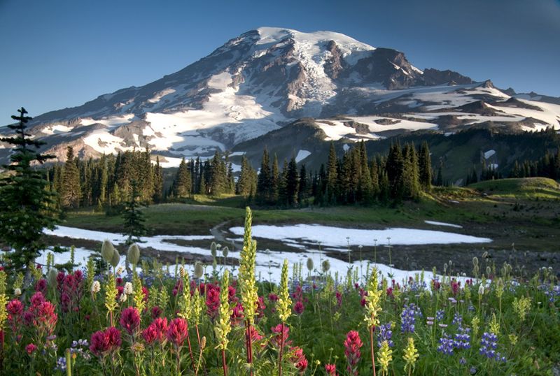 Wonderland Trail – Mount Rainier National Park, Washington