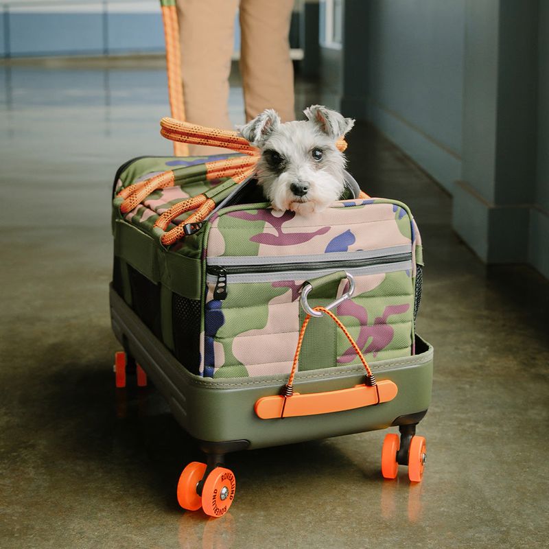 Roverlund Out-of-Office: Wheeled Wonder