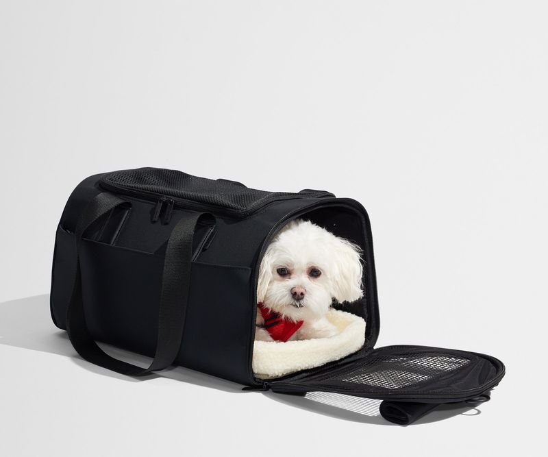 Away The Pet Carrier – Feature-Rich & Stylish