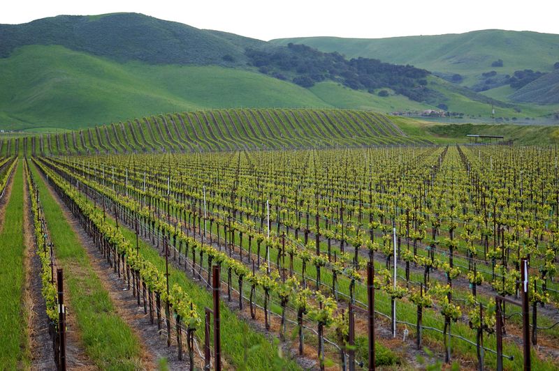 Los Alamos (Santa Barbara County)