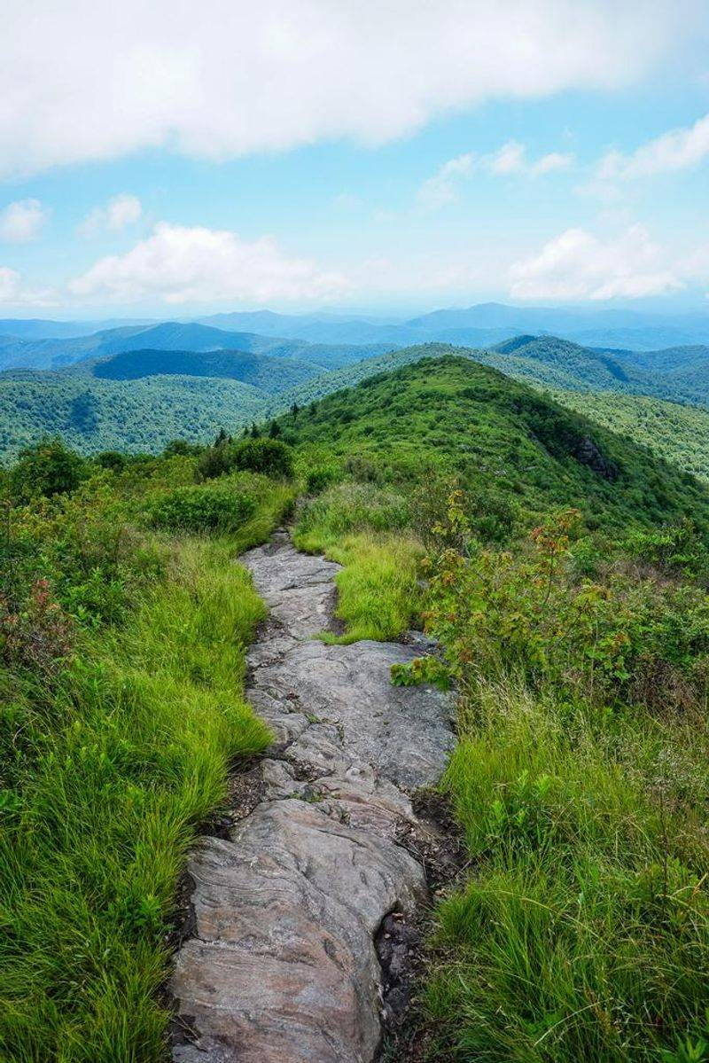Art Loeb Trail – Pisgah National Forest, North Carolina