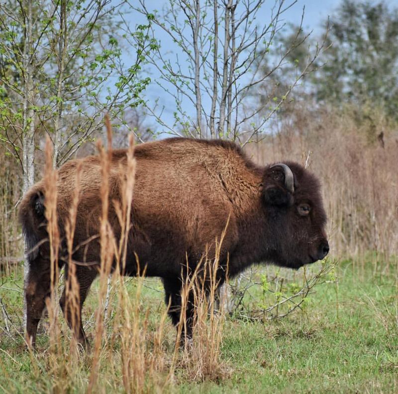 You Can Visit a 5,000-Year-Old Native American Site