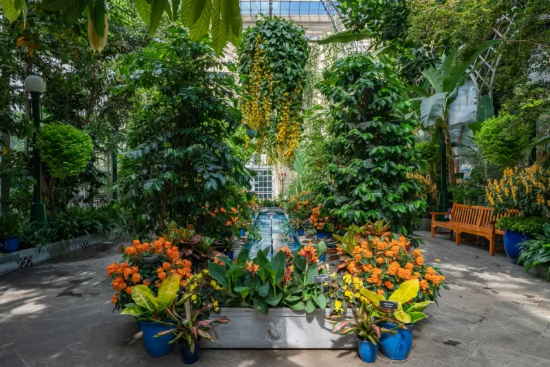 Palais-like Conservatory