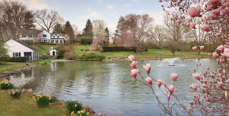Whitewing Farm Bed & Breakfast (Brandywine Valley)