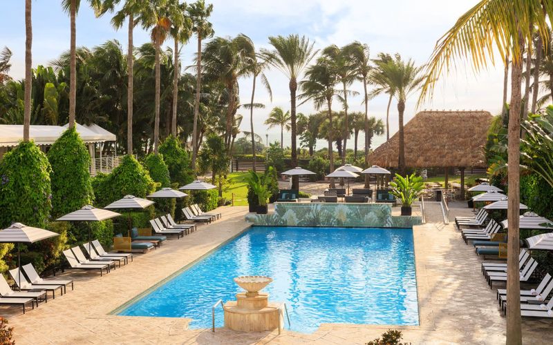 Kimpton Surfcomber - Social Energy with Mid-Range Pricing