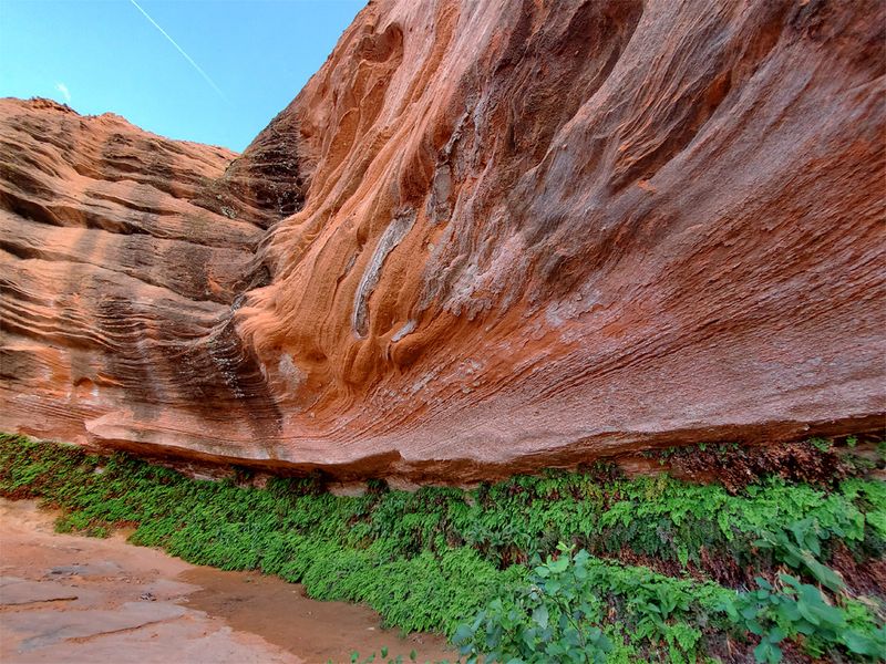 Hanging Garden Trail (Page)