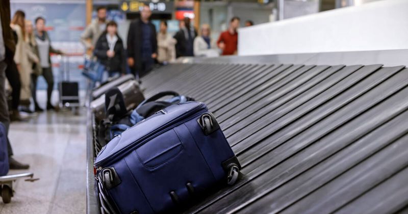 The Luggage Theft at Transit Hubs