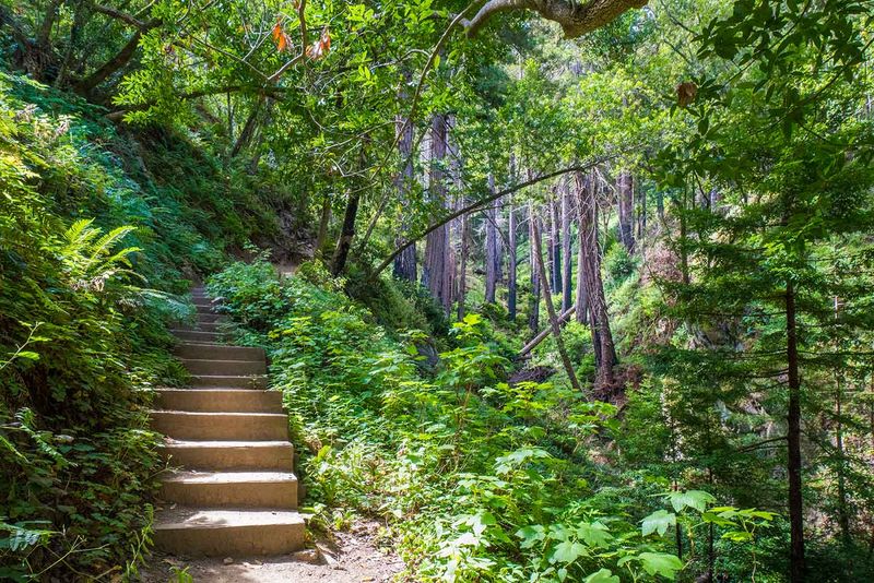 Garrapata State Park, Soberanes Canyon (north Big Sur)