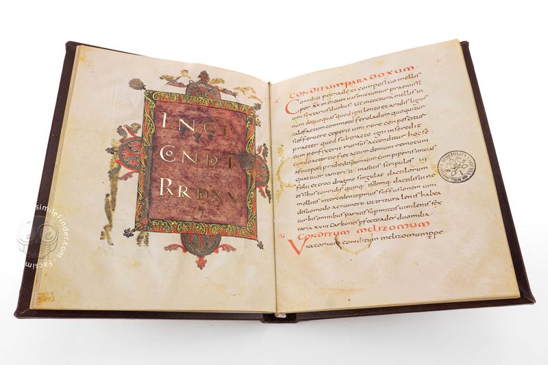 Apicius: De Re Coquinaria (Ancient Rome)