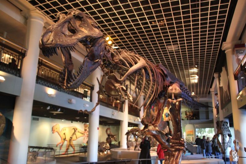 Academy of Natural Sciences of Drexel University