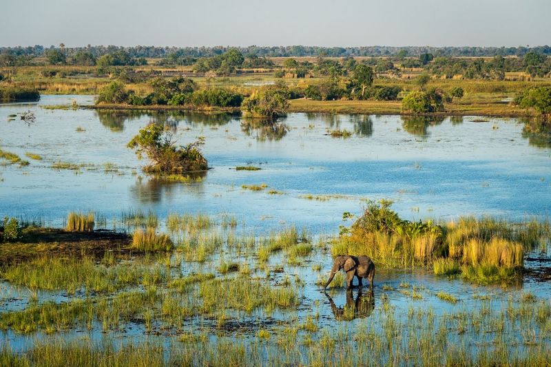 Botswana's Okavango Delta