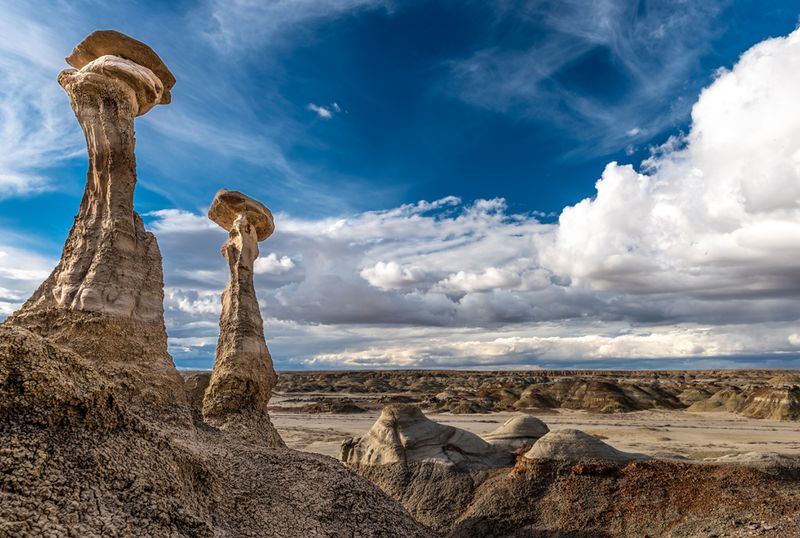 Bisti/De-Na-Zin Wilderness