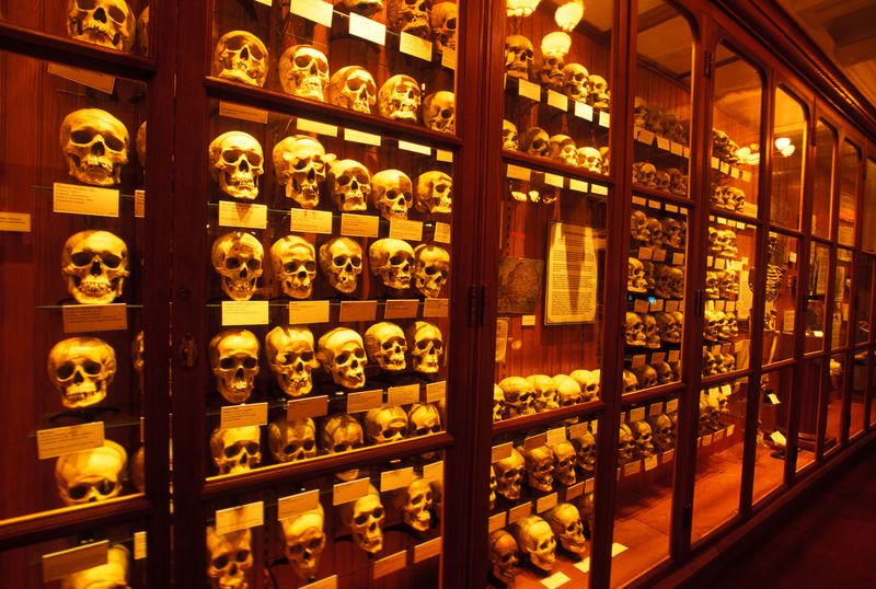 The Mutter Museum (Philadelphia, PA)