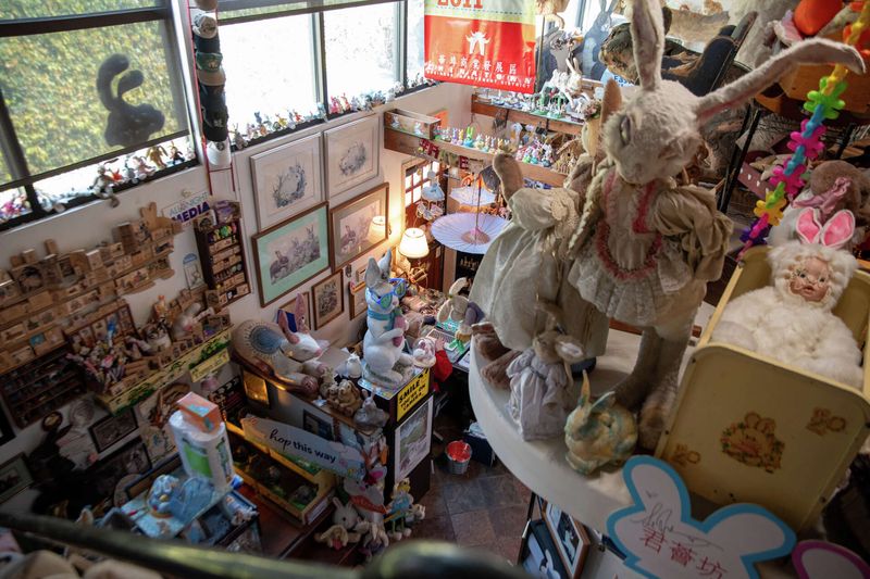 The Bunny Museum