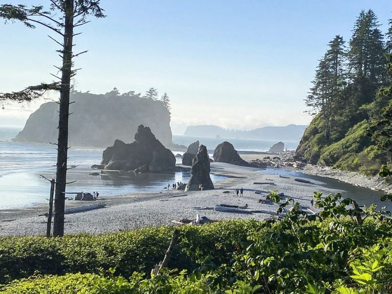 Olympic Peninsula, Washington (Beyond Seattle)