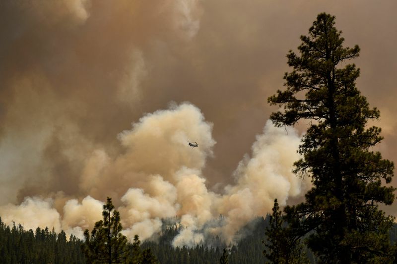 Air Quality & Wildfire Smoke