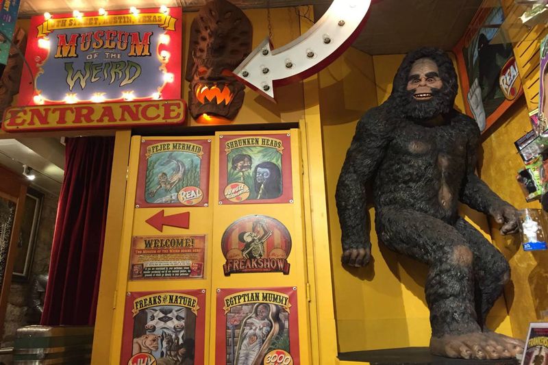 The Museum of the Weird (Austin, TX)