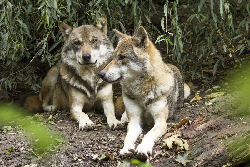 Hands-On Animal Encounters