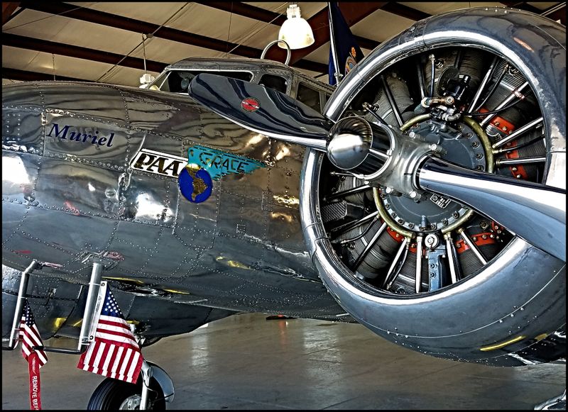 The Amelia Earhart Festival