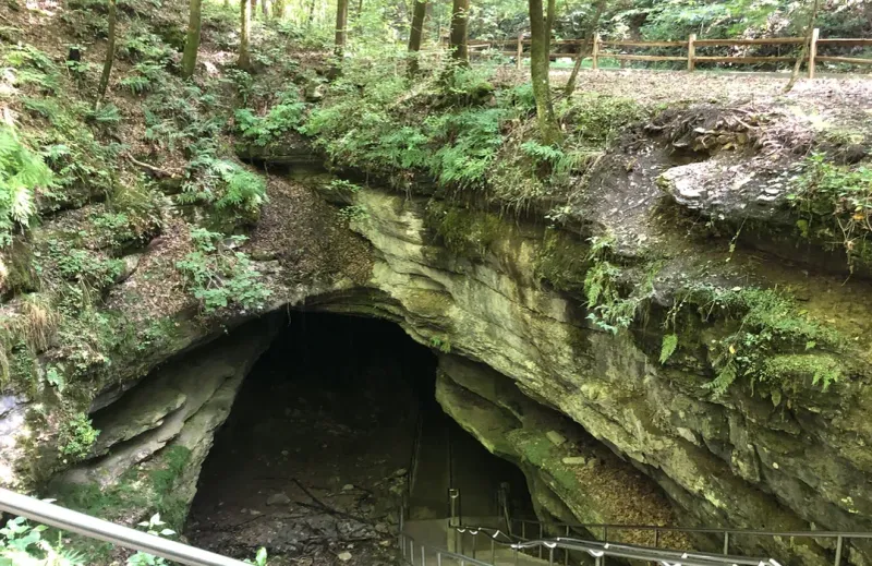 Forest-to-Cavern Transition Trails
