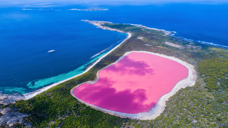 Lake Hillier (WA)