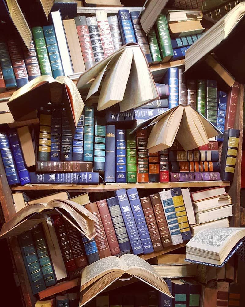 A Visual Wonderland of Books