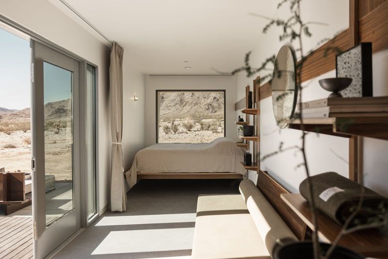 Creative Renaissance Blooms in Joshua Tree