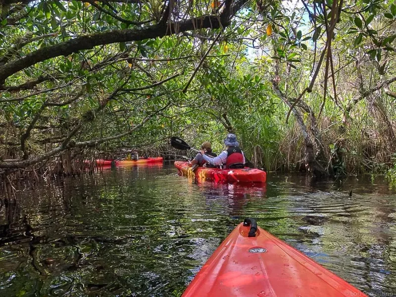 Ten Thousand Islands – Southwest Florida
