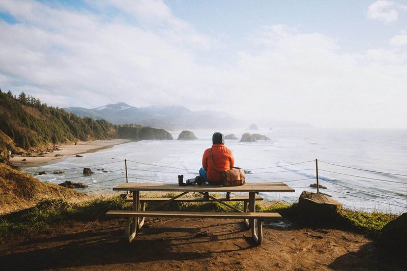 Picnic Spots with a View – Designated picnic areas overlooking the ocean make for a perfect coastal lunch