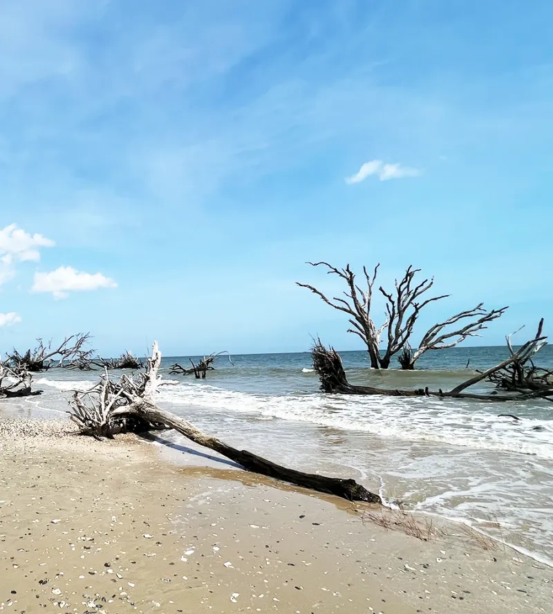 Unspoiled Shoreline, No Tourist Trappings