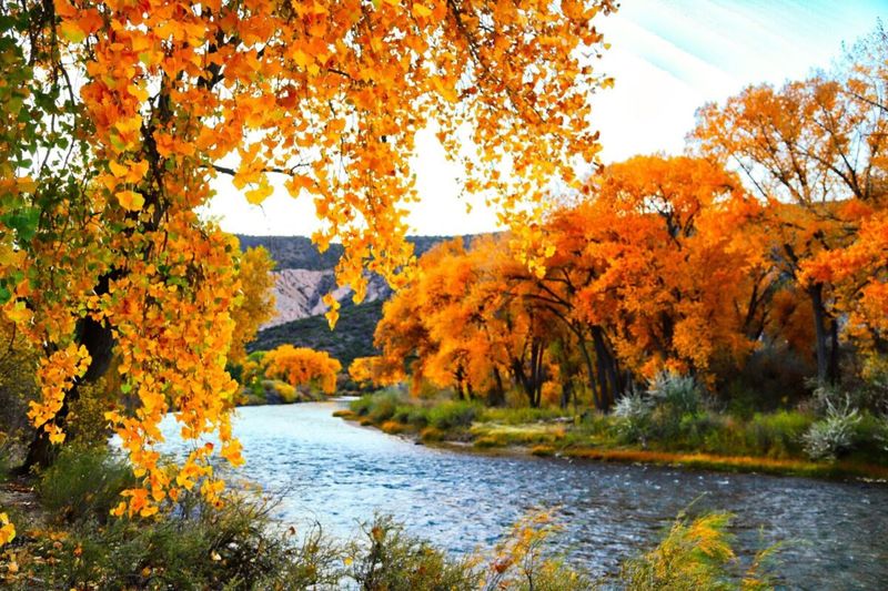 Catch Peak Leaf Season During the Perfect Viewing Window