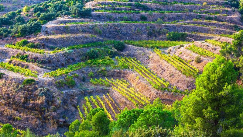 Priorat, Spain