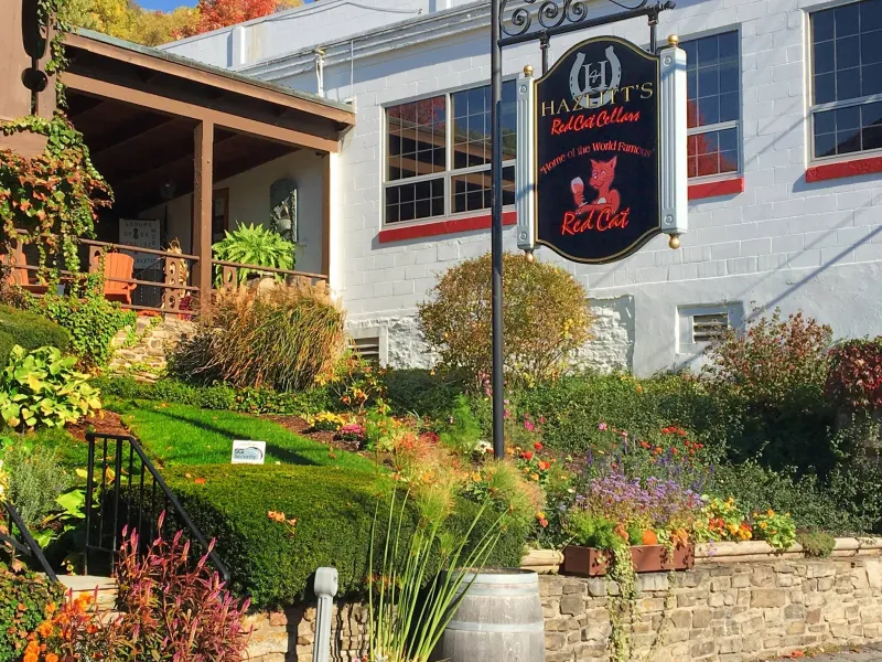Hazlitt Red Cat Cellars Bistro – Naples