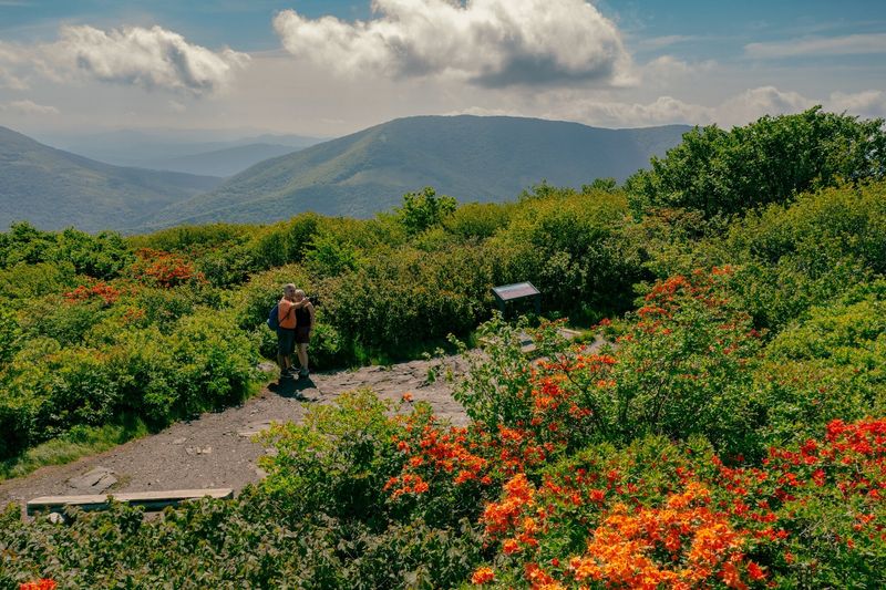 Elk Knob State Park, near Boone