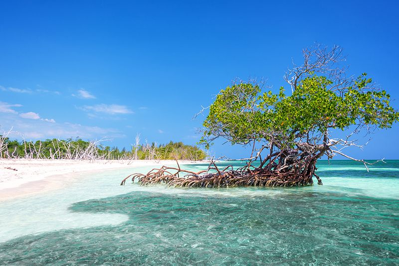 Cayo Levisa
