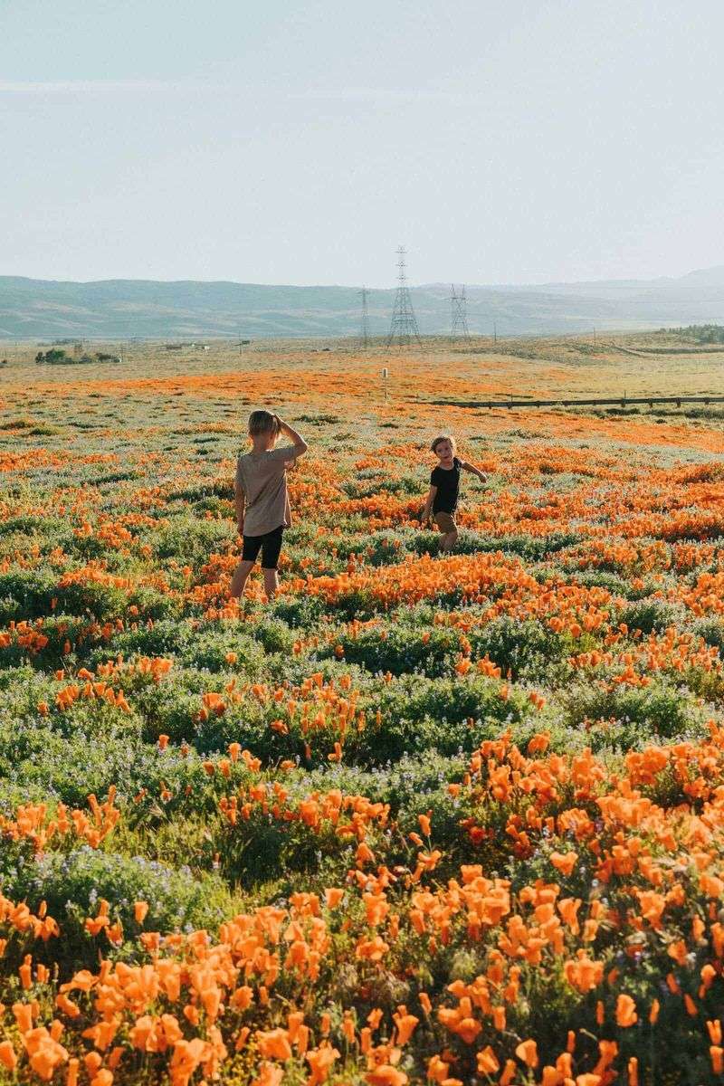 Protecting the Delicate Bloom
