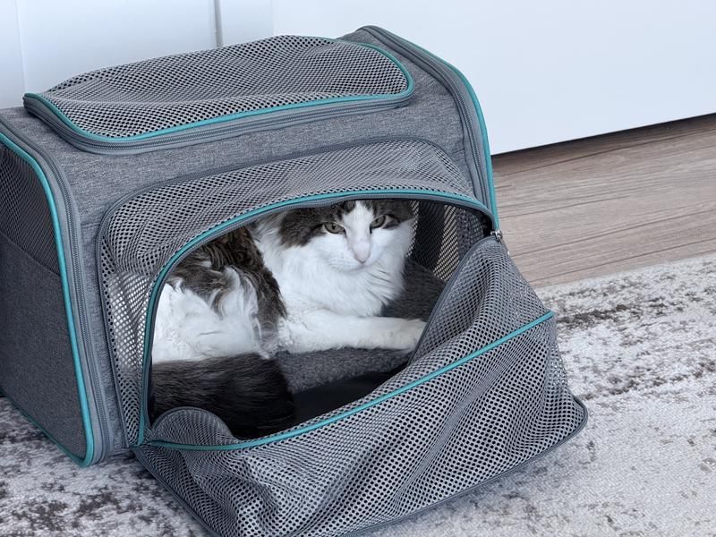 Frisco Expandable Soft-Sided Carrier: Room to Stretch