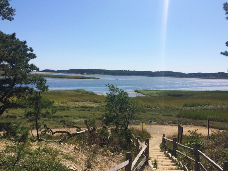 Wellfleet