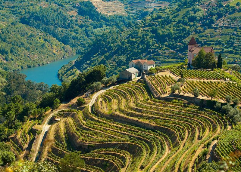 Douro Valley, Portugal