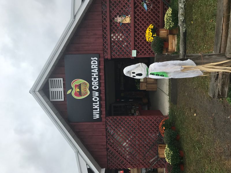 Wilklow Orchards — Highland (Ulster)