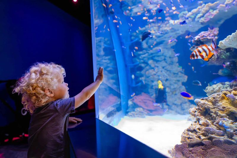 Birch Aquarium at Scripps (La Jolla)