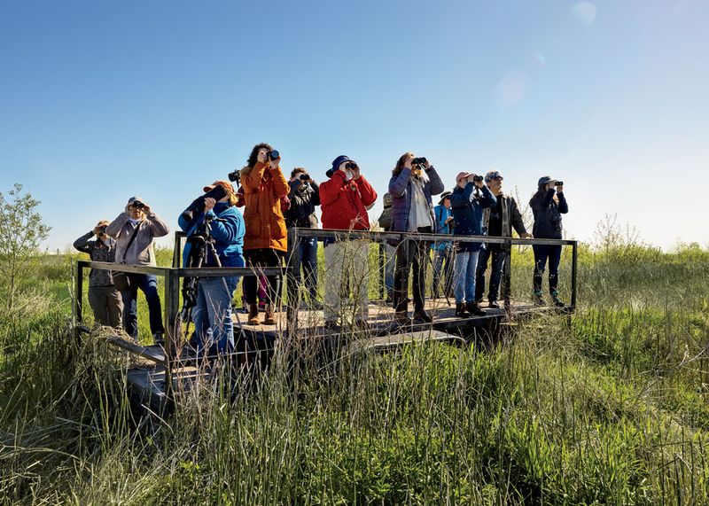 Birdwatching Paradise