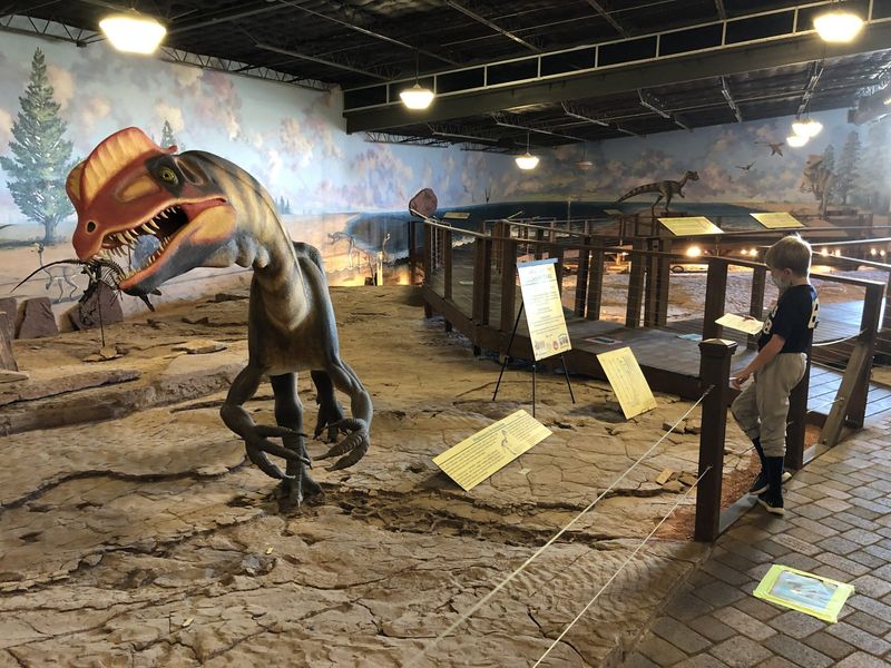 Explore the St. George Dinosaur Discovery Site