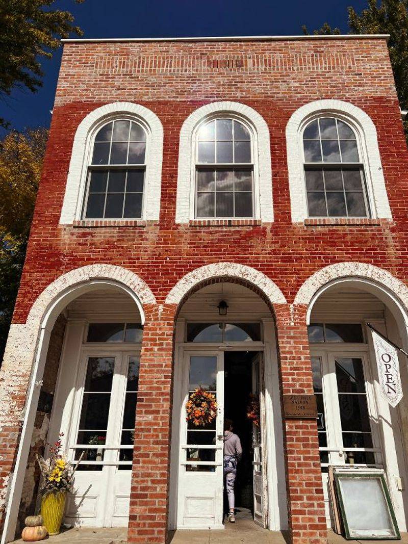 Brownville - Riverboat Days Remembered