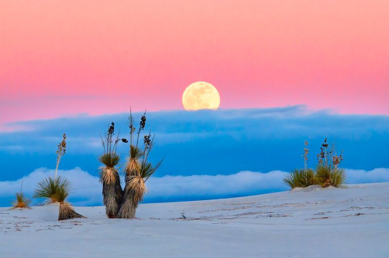 White Sands at Moonrise