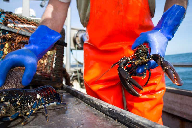 Understand the Maritime Heritage Behind Every Bite