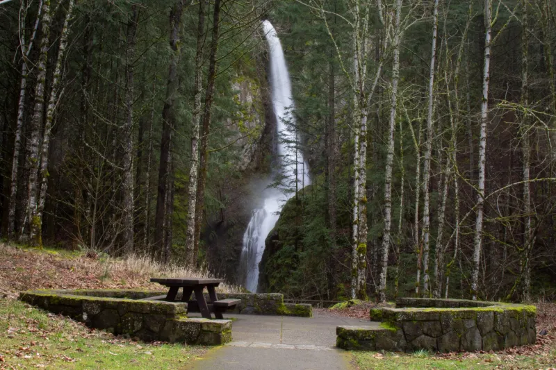 Starvation Creek Waterfalls cluster — Starvation Creek State Park (Gorge)