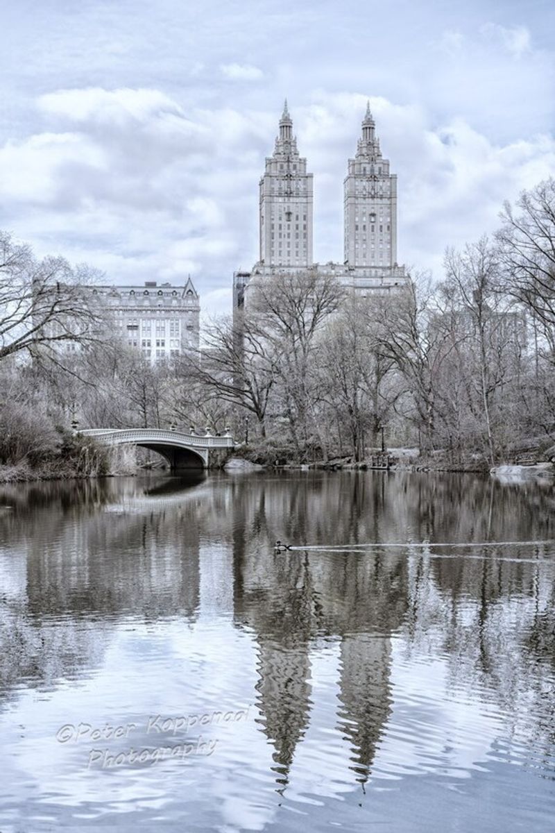 Central Park's Bow Bridge