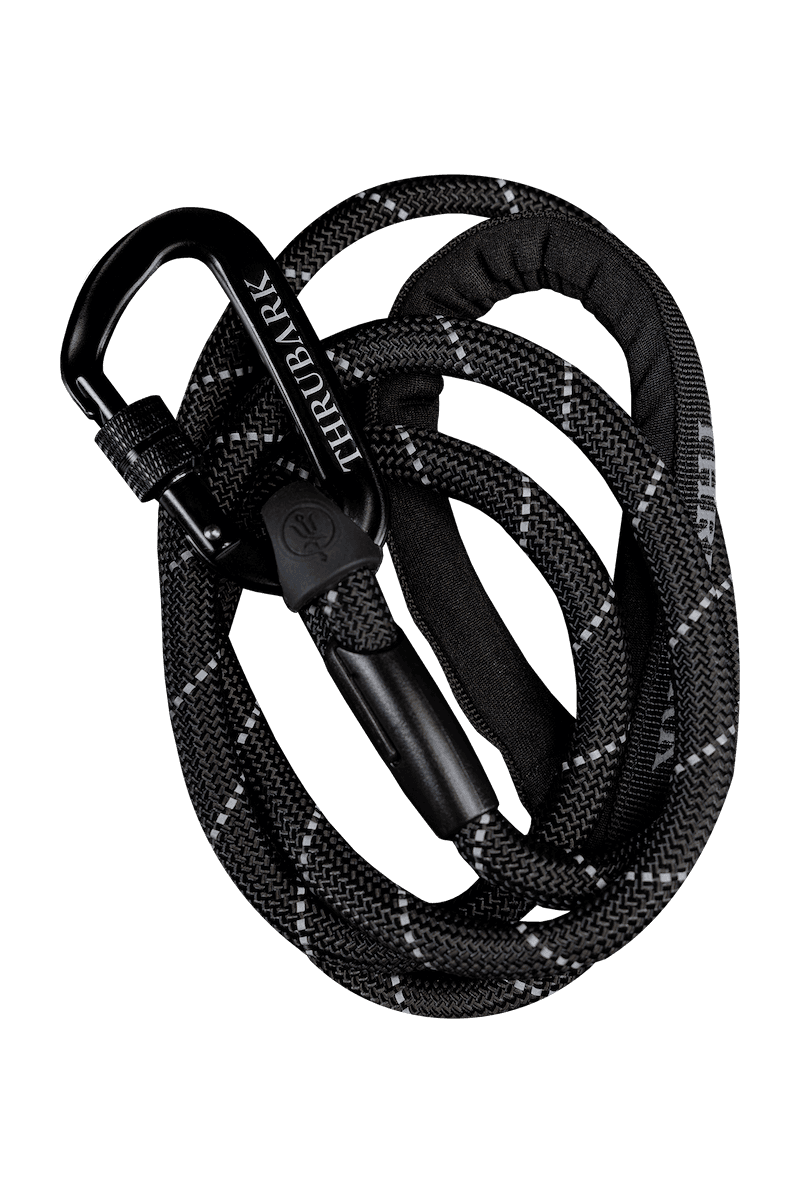 Carabiner Clip Hiking Leash
